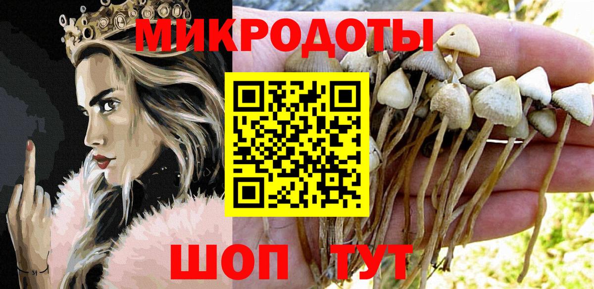 Галлюциногенные грибы Cubensis Алексеевка