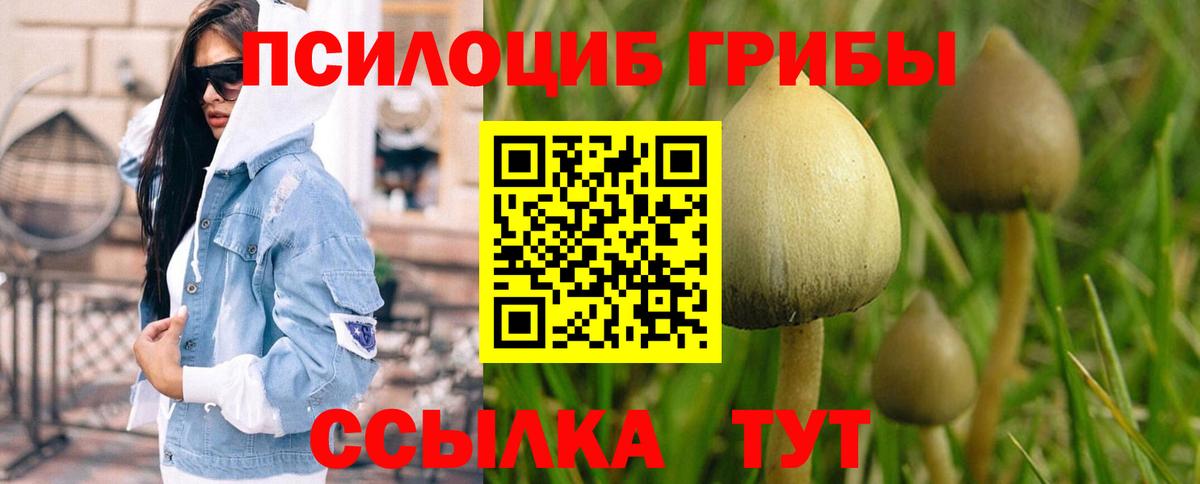 Галлюциногенные грибы прущие грибы  Псилоцибиновые грибы мицелий  Вход с VPN  купить   Алексеевка 