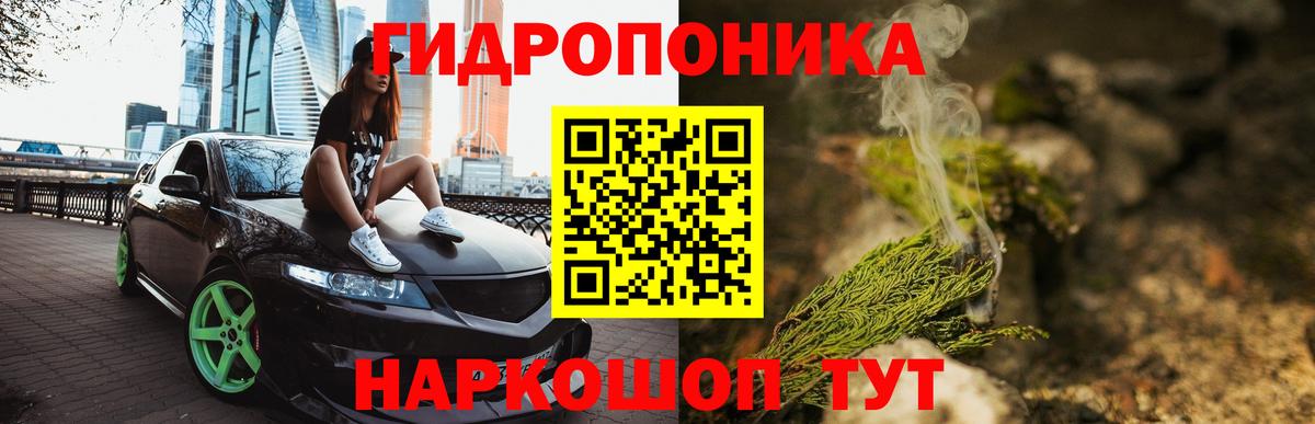 Конопля планчик Алексеевка